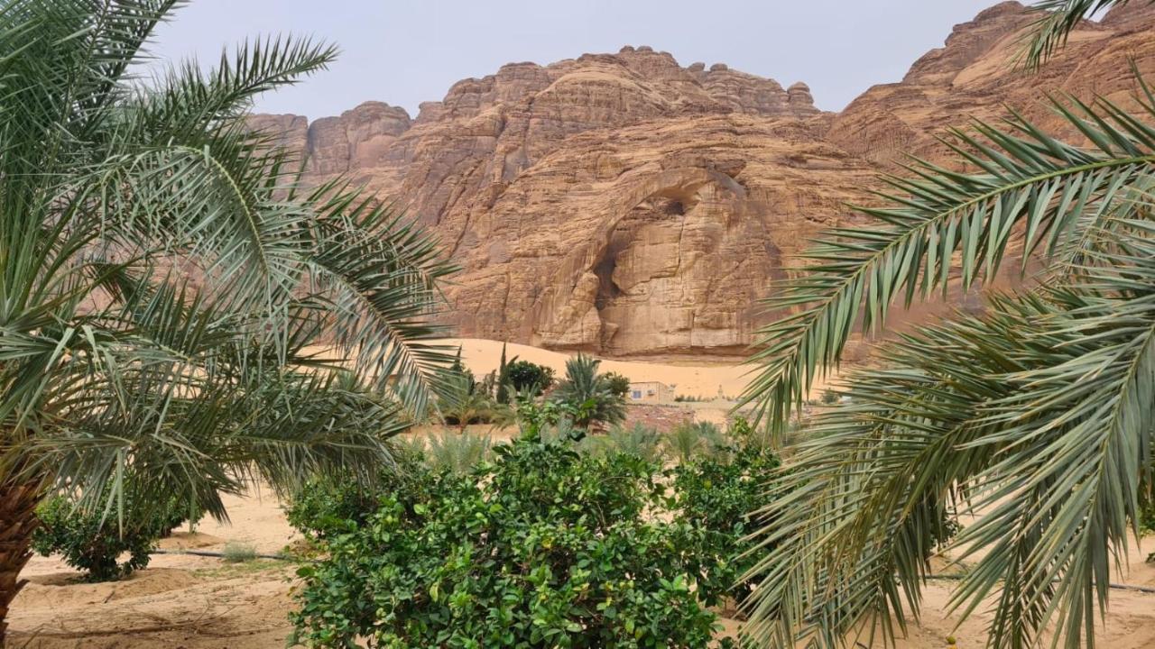 الجوهرة Diamond Plus Villa El-Ula Dış mekan fotoğraf