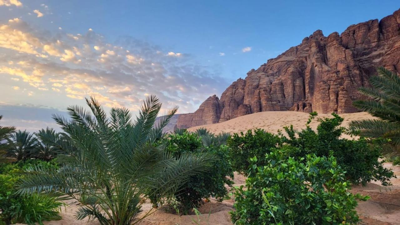 الجوهرة Diamond Plus Villa El-Ula Dış mekan fotoğraf