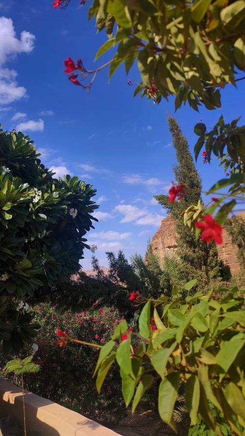 الجوهرة Diamond Plus Villa El-Ula Dış mekan fotoğraf