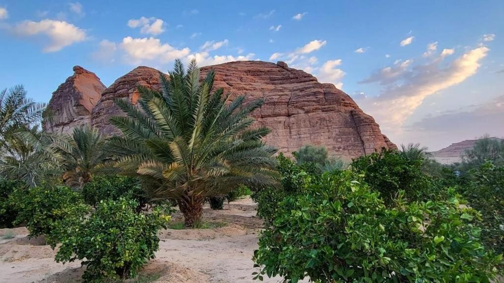 الجوهرة Diamond Plus Villa El-Ula Dış mekan fotoğraf