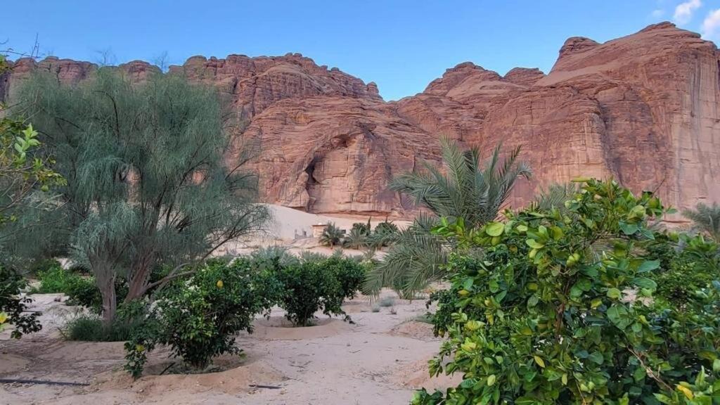 الجوهرة Diamond Plus Villa El-Ula Dış mekan fotoğraf