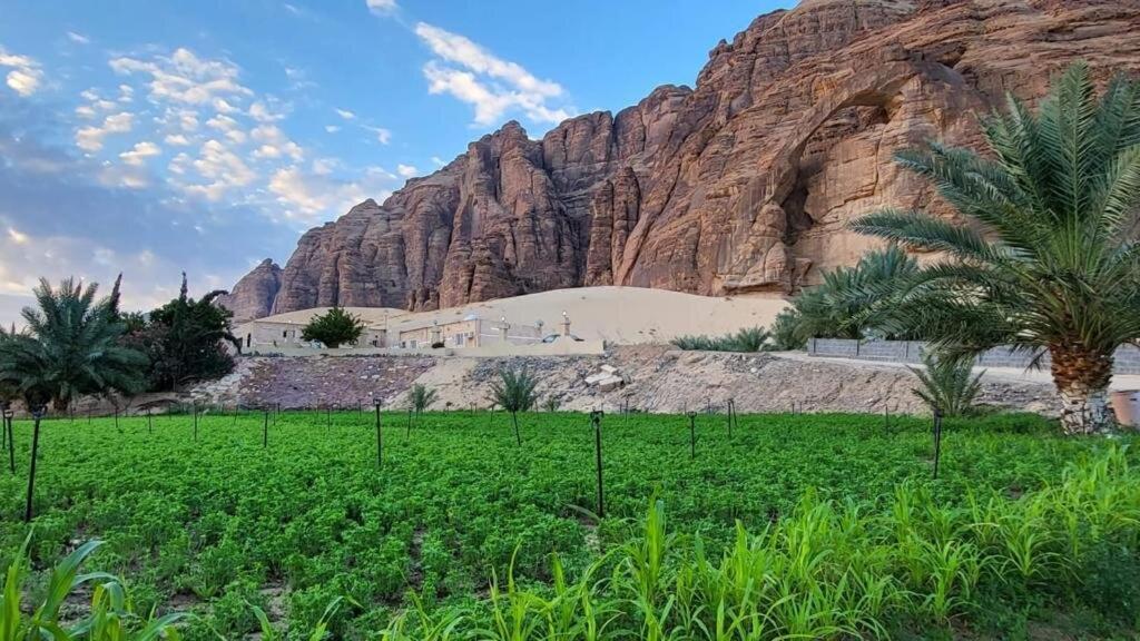 الجوهرة Diamond Plus Villa El-Ula Dış mekan fotoğraf